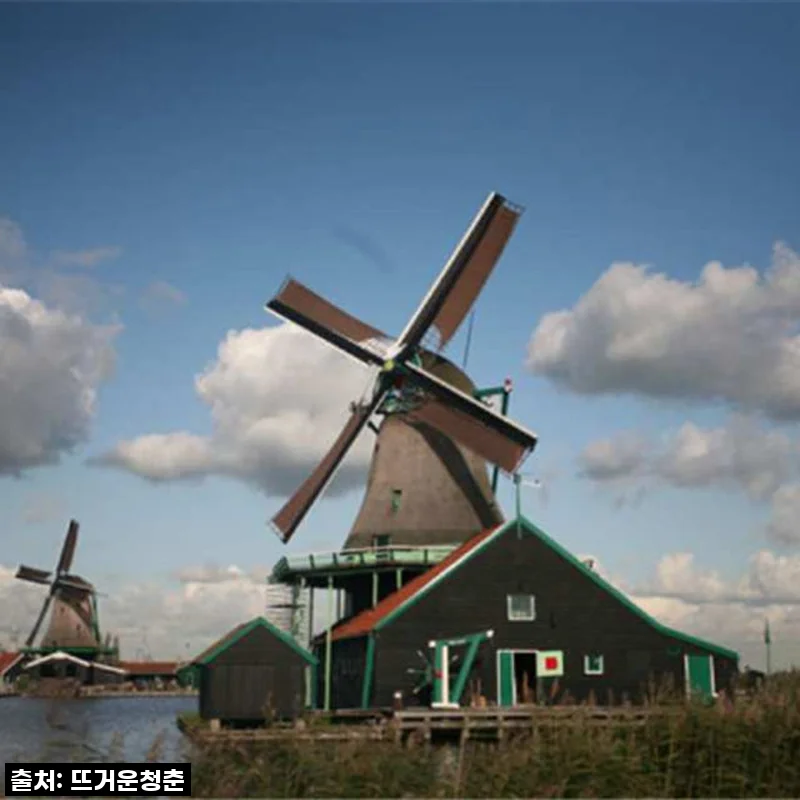 꿈만 같았던 네덜란드 프라이빗 투어, 잔세스칸스 & 볼렌담에서 인생샷 남긴 후기!