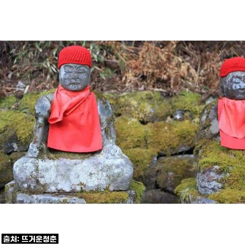 일본 도쿄 근교 여행, 닛코 개인 당일 투어 솔직 후기! (잊지 못할 경험)