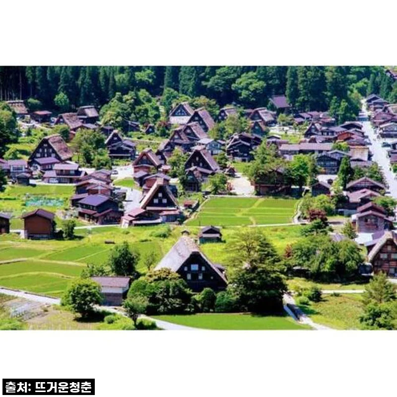 가나자와 시라카와고 반나절 투어, 이렇게 알뜰하게 다녀왔어요! (진심 후기)