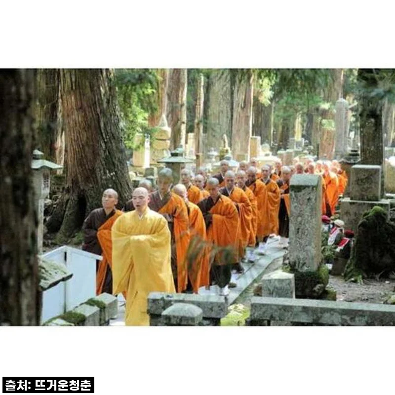 와카야마 고야산, 현지 가이드와 프라이빗 워킹 투어 직접 경험해보니 이건 정말…!