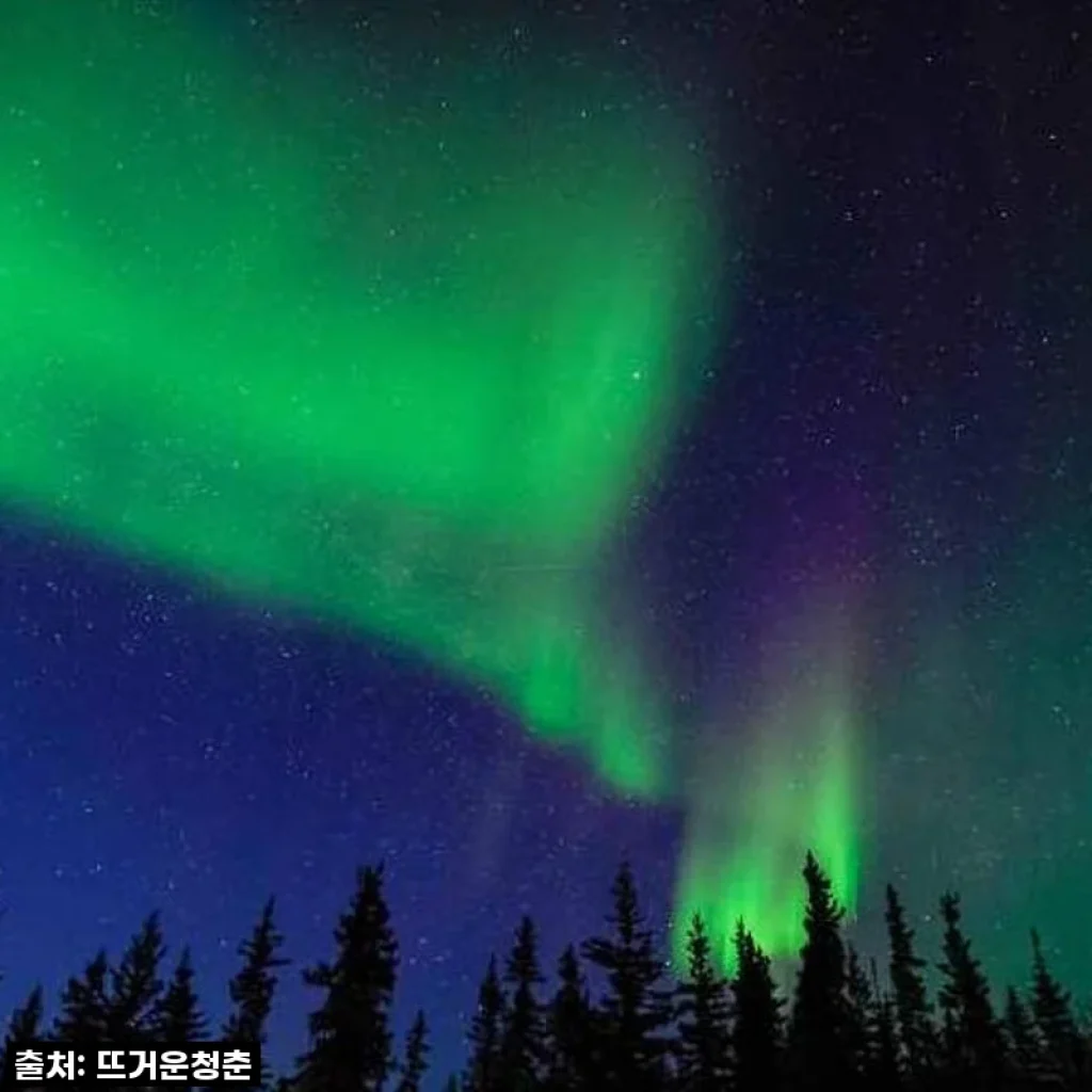 캐나다 옐로나이프 3박4일 오로라투어 후기 및 시내관광 체험기