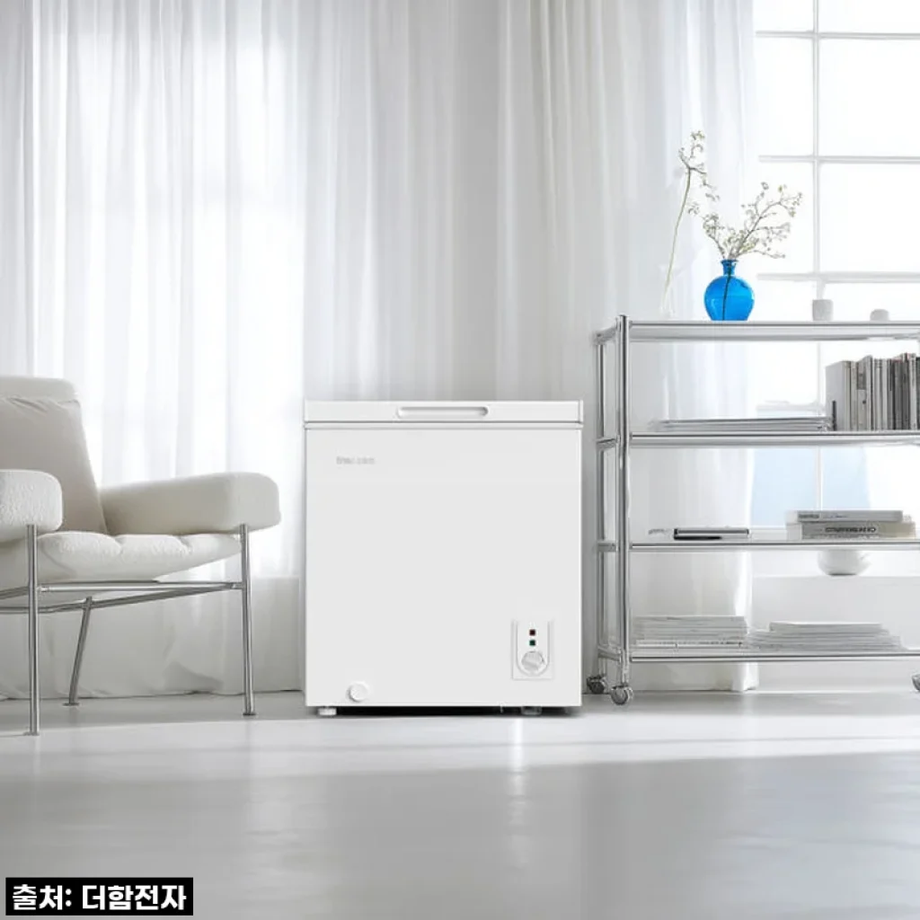 더함 CHIQ 66L 소형 미니 냉동고 사용후기: 가정용 급속 빵동고 추천!
