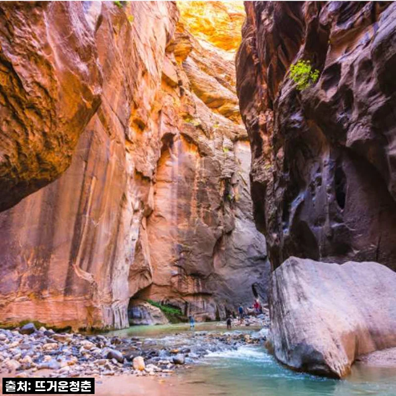 그랜드 캐년 사우스 림과 자이언, 브라이스 국립공원 4일 투어 후기