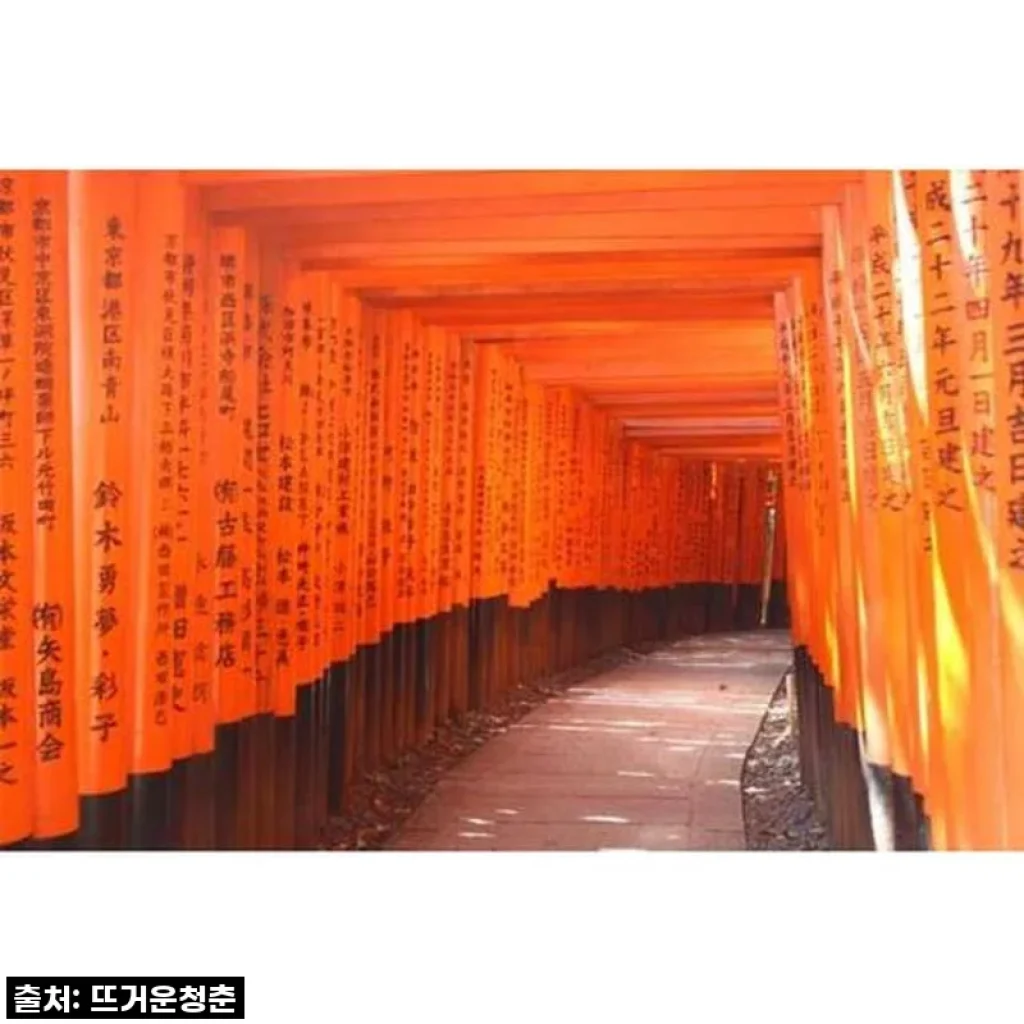 일본 오사카에서 교토까지 개인 하루 종일 투어 사용 후기