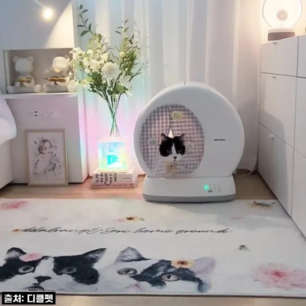 [디클펫] 디클펫 고양이 자동 화장실 에어로보 C10 Pro 사용후기