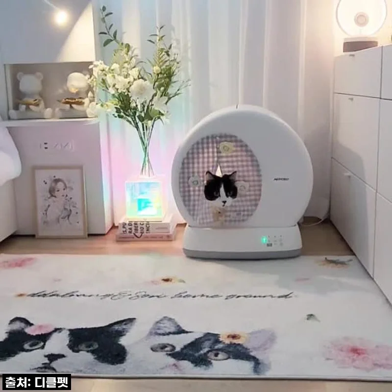 [디클펫] 디클펫 고양이 자동 화장실 에어로보 C10 Pro 사용후기