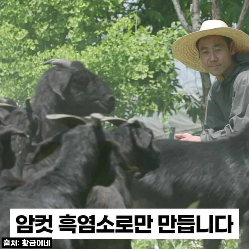 황금이네 자연방목 흑염소진액 엑기스 150포 직접 써본 사용후기