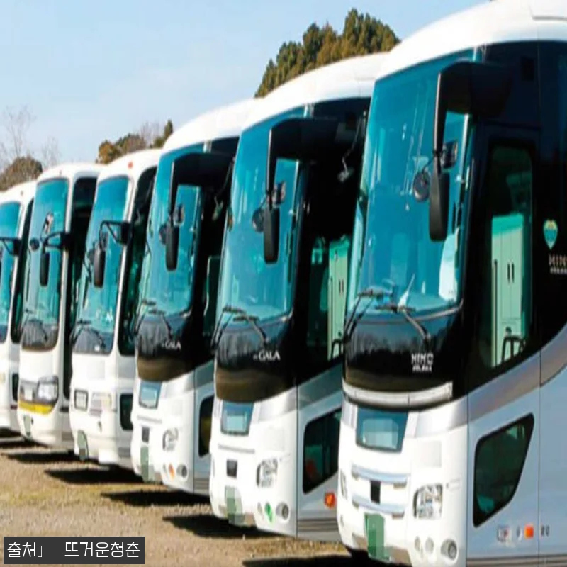 오키나와 전세 투어 5시간 체험 후기 관련 이미지 1