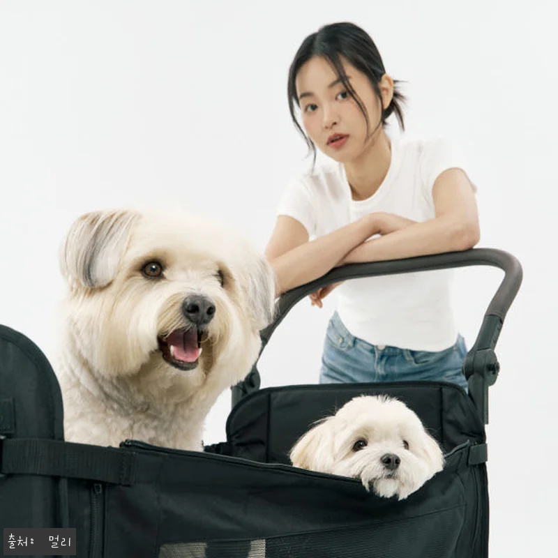 멀리 저상형 강아지유모차 웨건 MW6 관련 이미지 1