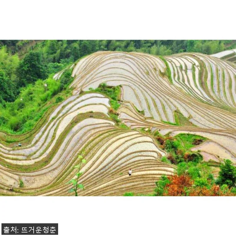 중국 광시성 구이린 롱지 테라스 프라 관련 이미지 1