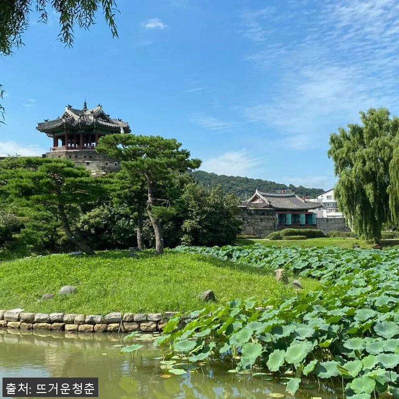 서울 출발 수원 화성 개인 종일 투어 관련 이미지 1