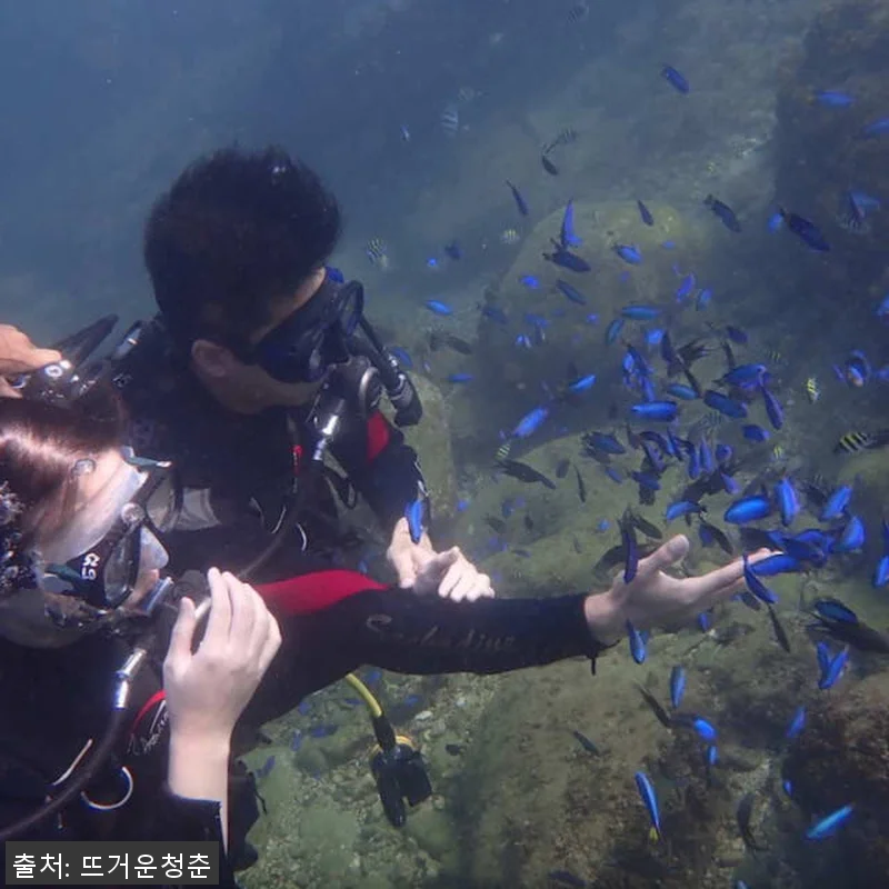 대만 Longdong Bay 52 D 관련 이미지 1