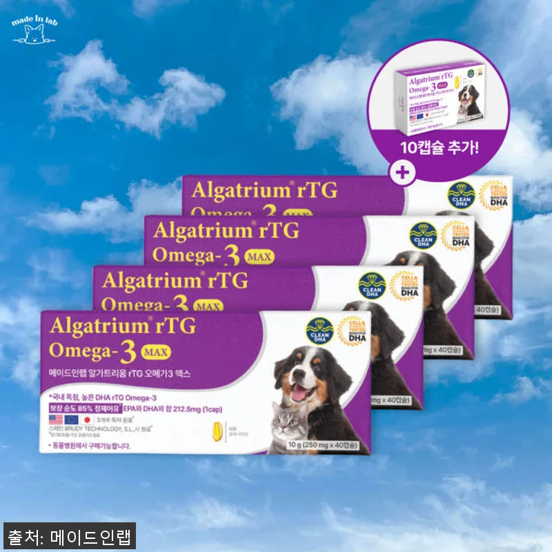 강아지 눈 영양제 DHA 오메가3 알 관련 이미지 1