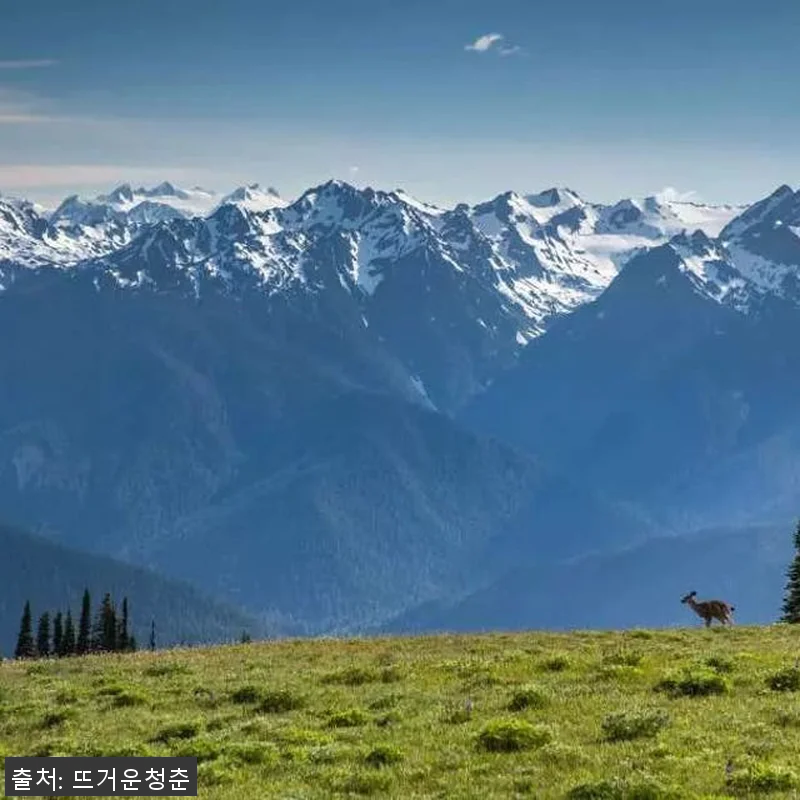 미국 시애틀 1박 2일 투어 후기: 관련 이미지 1