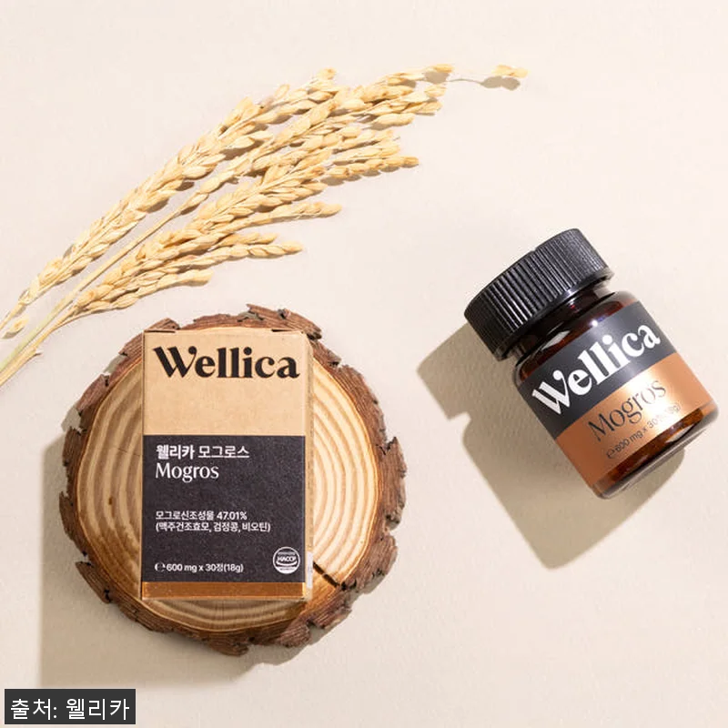 웰리카 비오틴 독일 맥주효모 판토텐산 관련 이미지 1