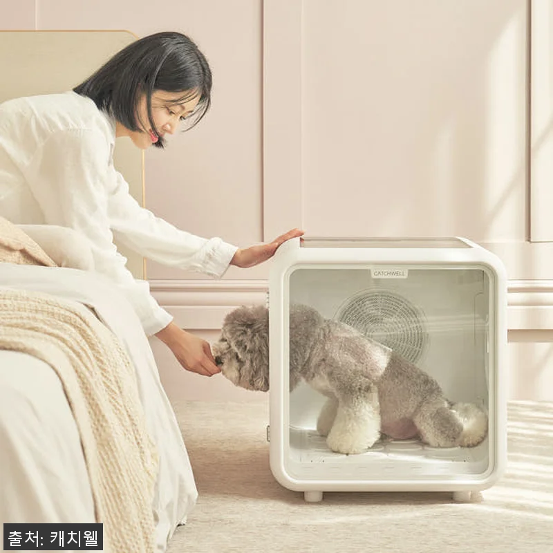 캐치웰 펫드라이룸 사용후기 - 강아지 관련 이미지 1