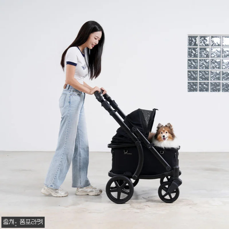 폼포라펫 모두 웨건 소형견 강아지유모 관련 이미지 1