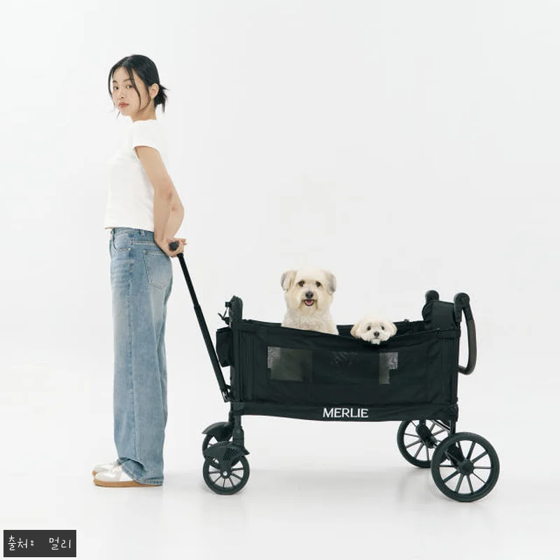 멀리 저상형 강아지유모차 웨건 MW6 관련 이미지 2