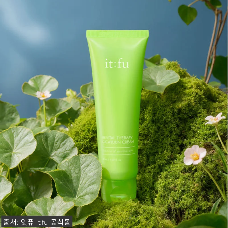 시카 세라마이드 시카윤 크림 50ml 관련 이미지 2