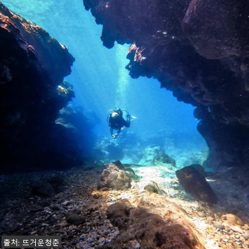 대만 뤼다오 그린 아일랜드 PADI 관련 이미지 2