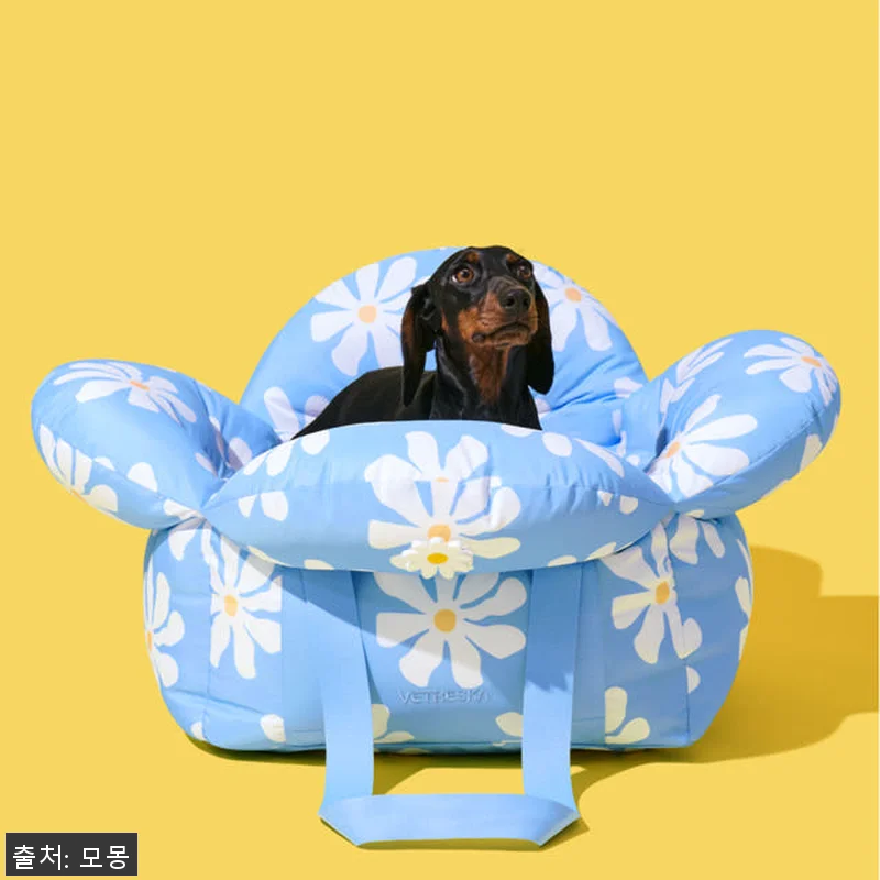 데이지 강아지카시트 애견 반려견 조수 관련 이미지 2