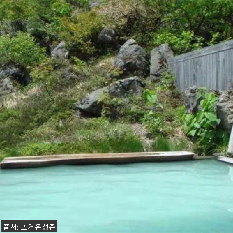 홋카이도 일일 투어｜삿포로 시내 및 관련 이미지 2