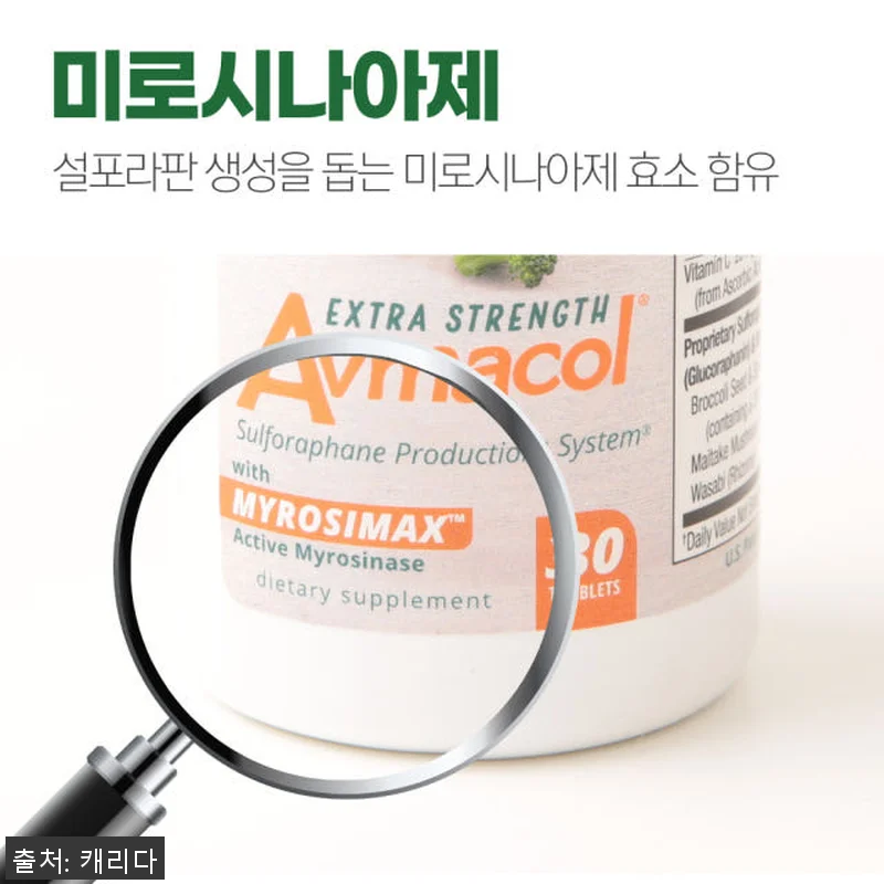 브로콜리새싹 설포라판 아브마콜 엑스트 관련 이미지 2