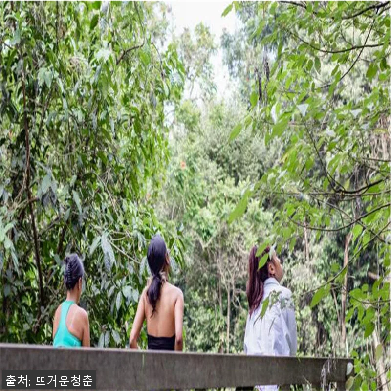 싱가포르 프라이빗 산림욕 & 하이티 관련 이미지 2