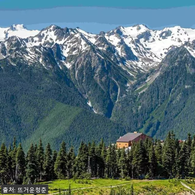 미국 시애틀 1박 2일 투어 후기: 관련 이미지 2