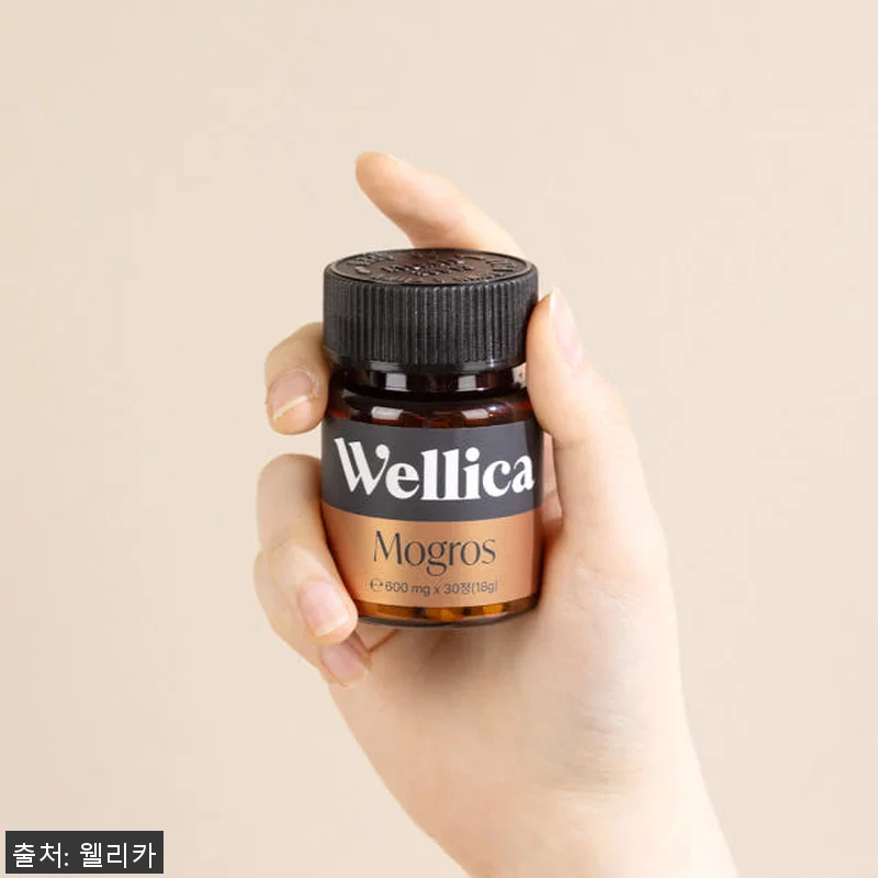 웰리카 비오틴 독일 맥주효모 판토텐산 관련 이미지 2