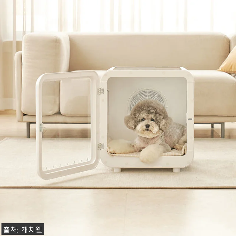 캐치웰 펫드라이룸 사용후기 - 강아지 관련 이미지 2