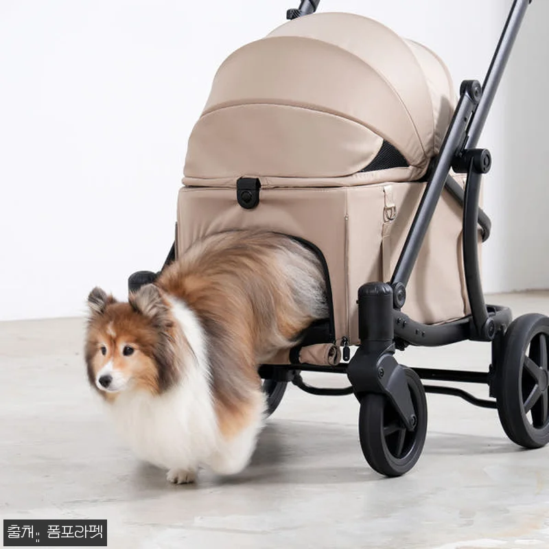 폼포라펫 모두 웨건 소형견 강아지유모 관련 이미지 2