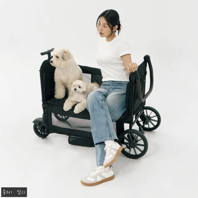 멀리 저상형 강아지유모차 웨건 MW6 관련 이미지 3