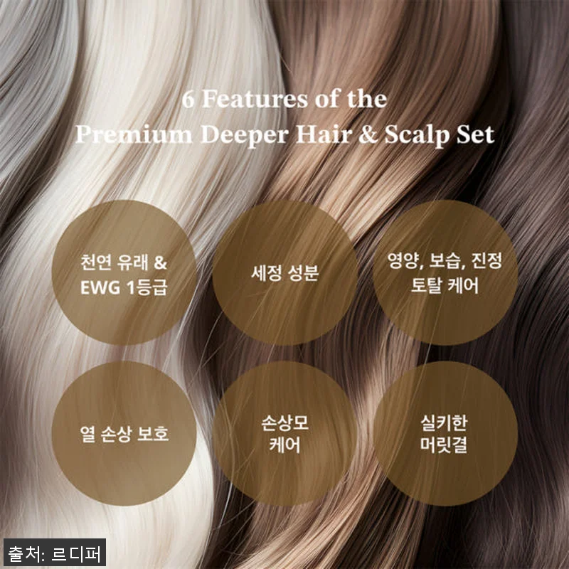 르디퍼 프리미엄 디퍼 헤어 케어 세트 관련 이미지 3