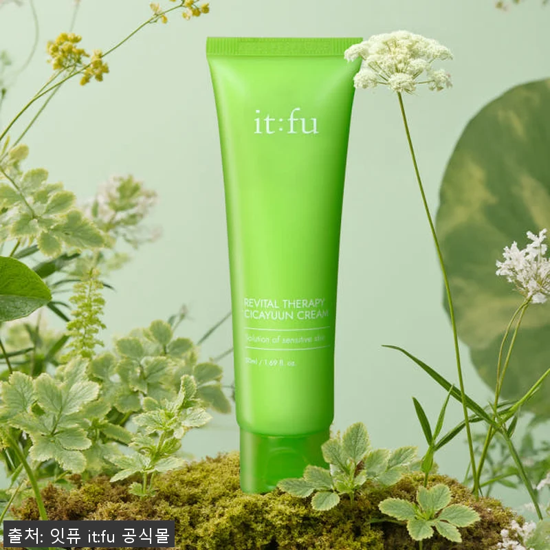 시카 세라마이드 시카윤 크림 50ml 관련 이미지 3