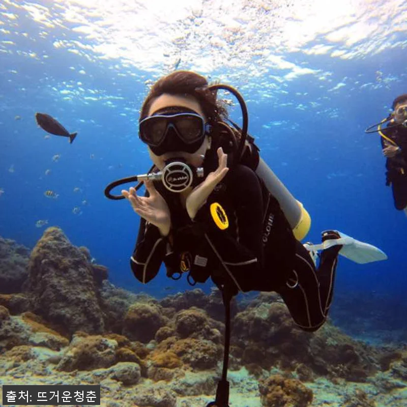 대만 뤼다오 그린 아일랜드 PADI 관련 이미지 3