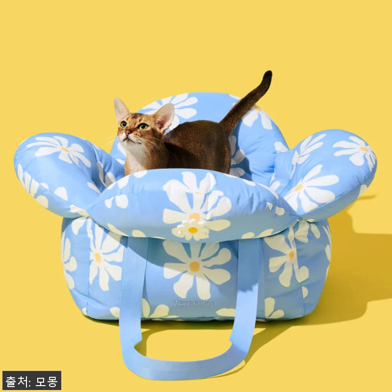 데이지 강아지카시트 애견 반려견 조수 관련 이미지 3