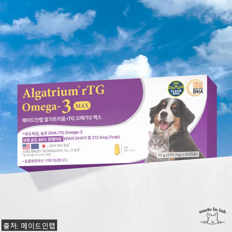 강아지 눈 영양제 DHA 오메가3 알 관련 이미지 3