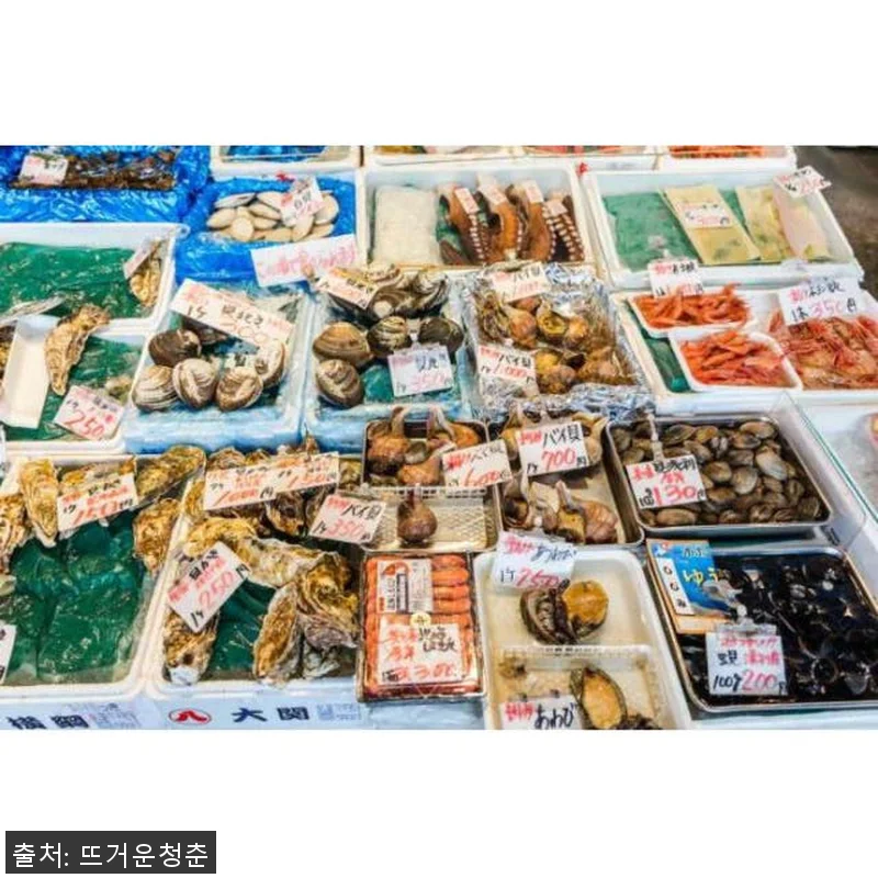 일본 가나자와 개인 음식 시음 워킹 관련 이미지 3