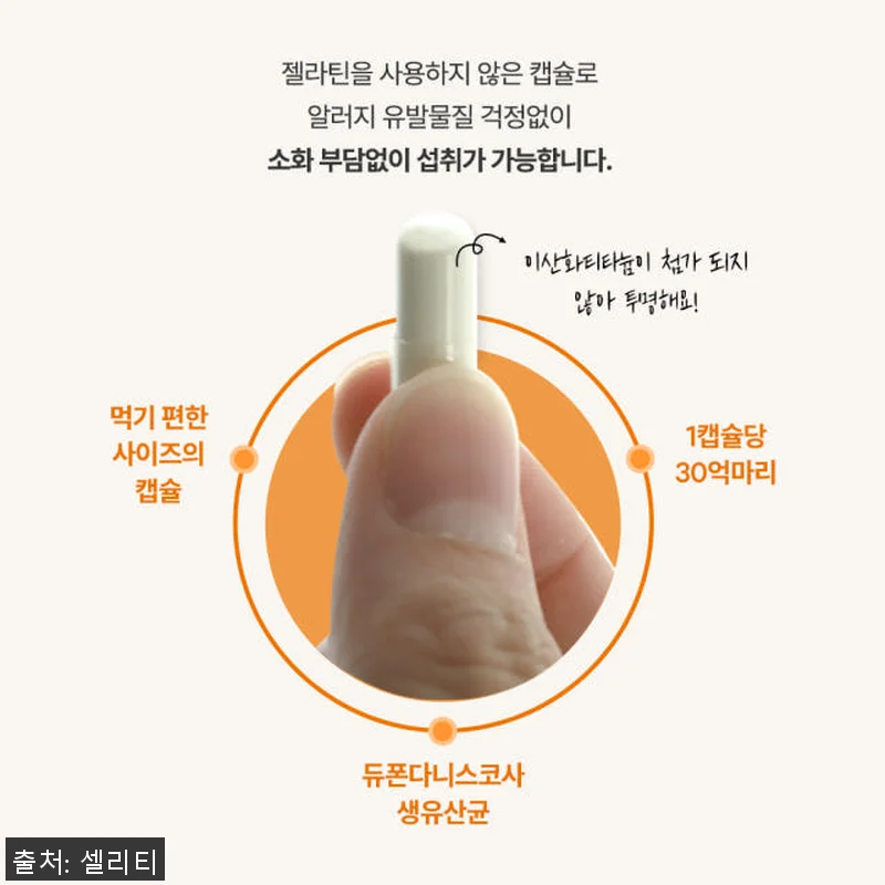 셀리티 프로피오 다니스코 유산균 프로 관련 이미지 3