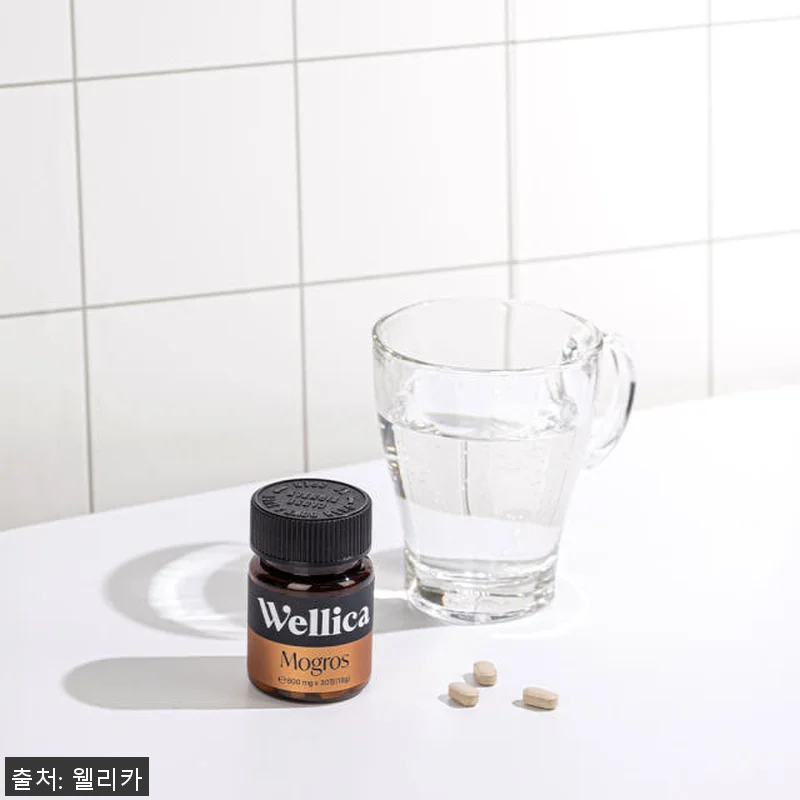 웰리카 비오틴 독일 맥주효모 판토텐산 관련 이미지 3