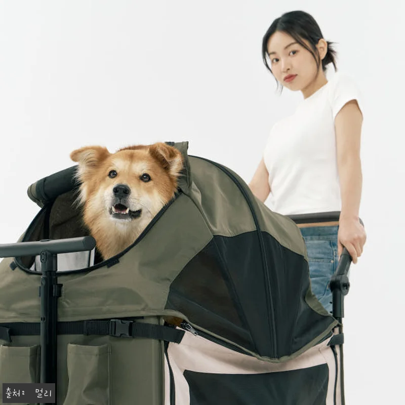멀리 저상형 강아지유모차 웨건 MW6 관련 이미지 4