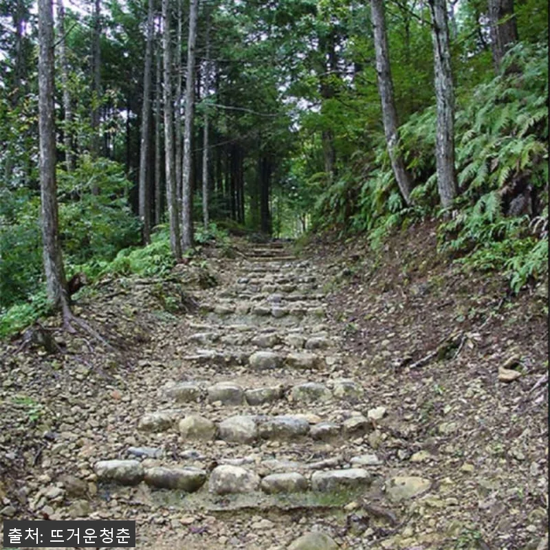 일본 와카야마 구마노코도 2일 워킹투 관련 이미지 4