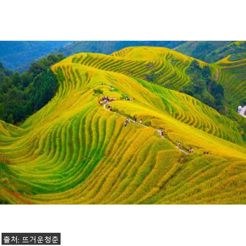 중국 광시성 구이린 롱지 테라스 프라 관련 이미지 4