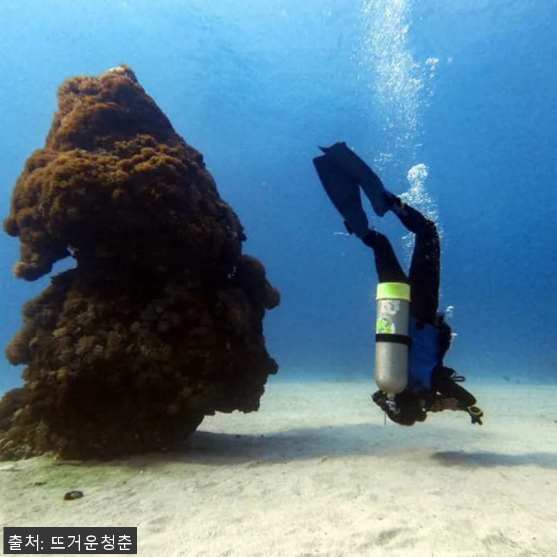 대만 뤼다오 그린 아일랜드 PADI 관련 이미지 4