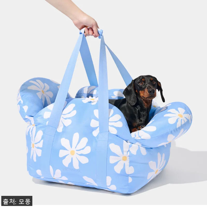 데이지 강아지카시트 애견 반려견 조수 관련 이미지 4