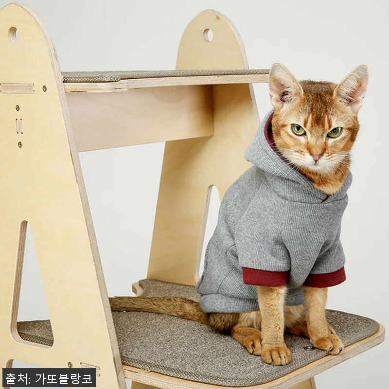 에펠 타워 원목 캣타워 사용후기, 고 관련 이미지 4