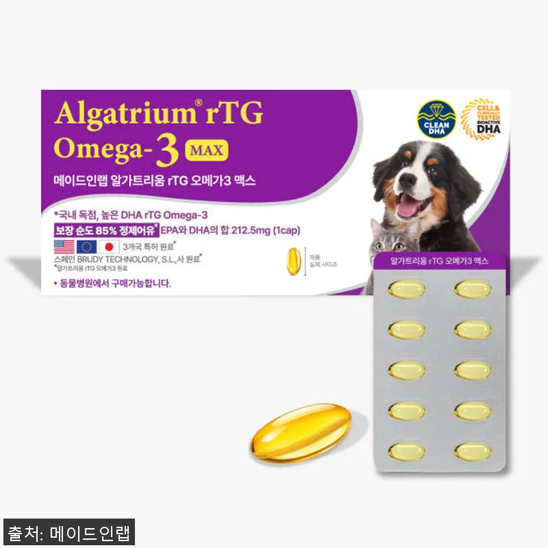 강아지 눈 영양제 DHA 오메가3 알 관련 이미지 4