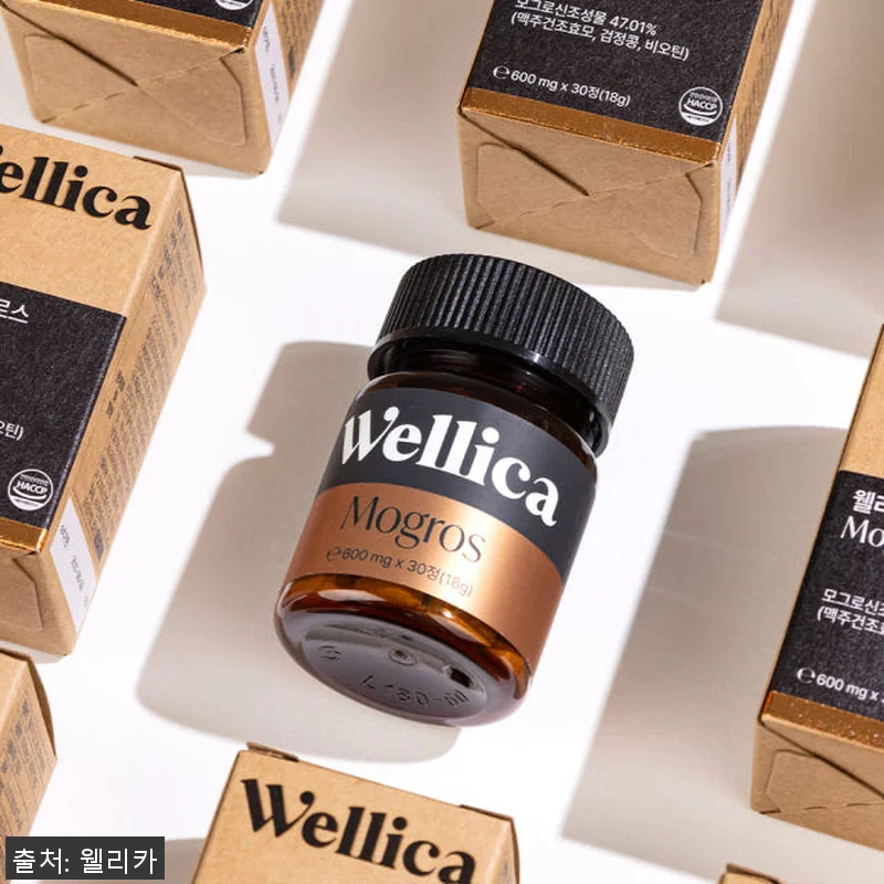 웰리카 비오틴 독일 맥주효모 판토텐산 관련 이미지 4