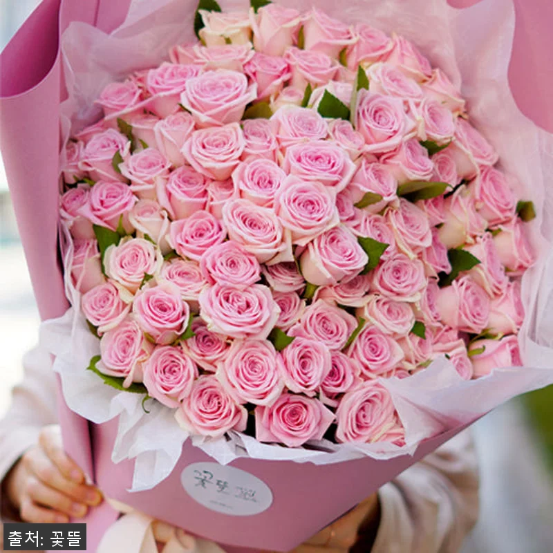 핑크 장미100송이 대형 꽃다발 사용 관련 이미지 4